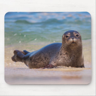Baby Harbour Seal in Water Mouse Pad