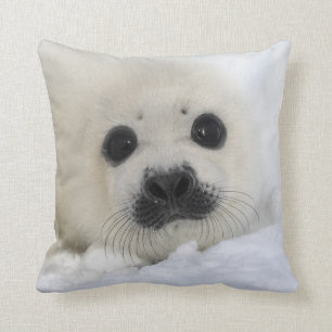 Baby Harp Seal Cushion