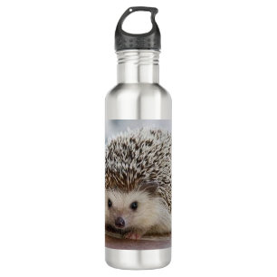 Baby hedgehog 710 ml water bottle