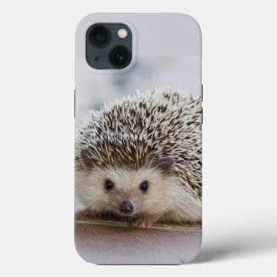 Baby hedgehog  iPhone 13 case