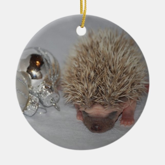 Baby Hedgehog Christmas Ornament (Front)