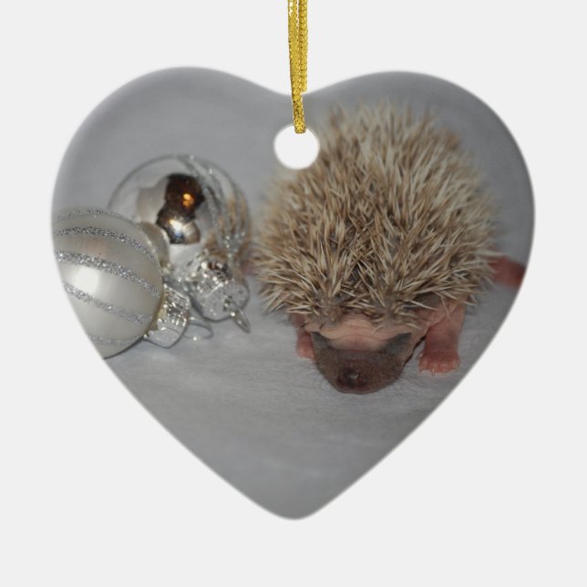 Baby Hedgehog Christmas Ornament (Front)