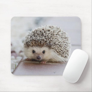 Baby hedgehog mouse pad