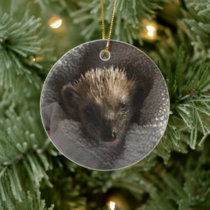 Baby Hedgehog on Blanket Ornament