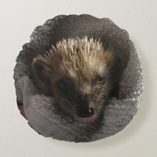Baby Hedgehog on Blanket Round Pillow
