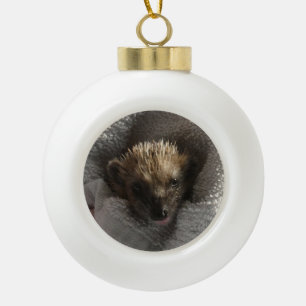 Baby Hedgehog on Blanket Snowflake Framed Ornament