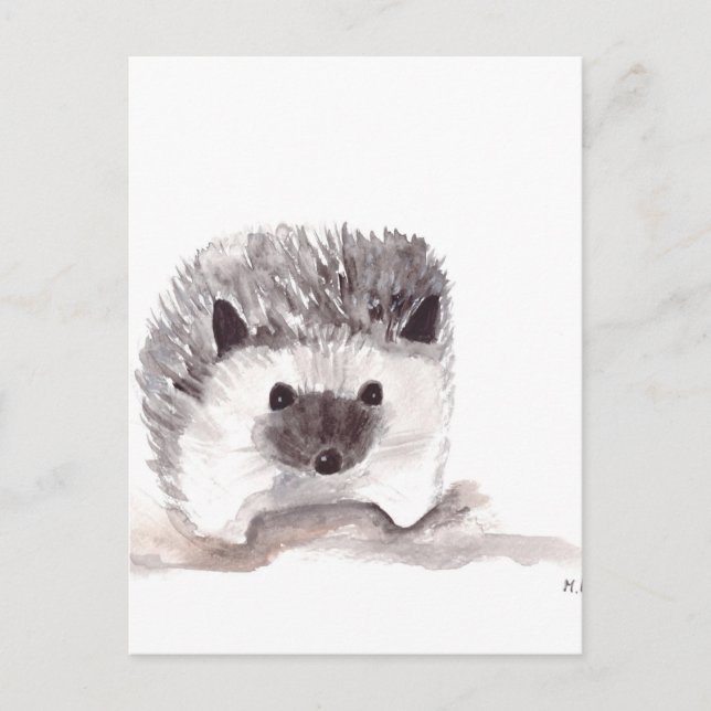 baby hedgehog postcard (Front)