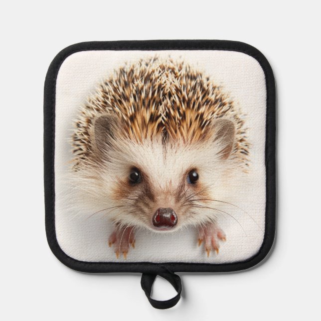 Baby Hedgehog Pot Holder (Front)