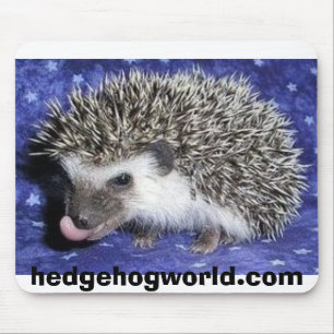 baby hedgehog tongue mousepad