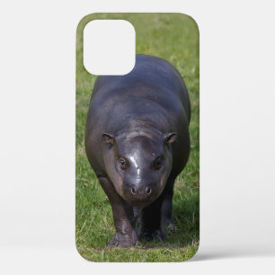 Baby Hippo iPhone 12 Case