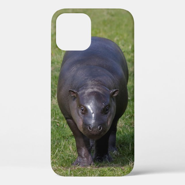 Baby Hippo iPhone 12 Case (Back)