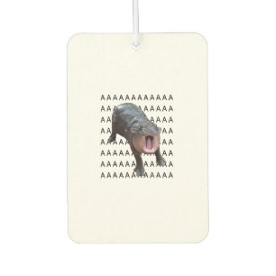 Baby Hippo Moo Deng Tank Top_10 Car Air Freshener