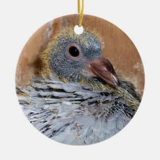 Baby Homing Pigeon Ornament