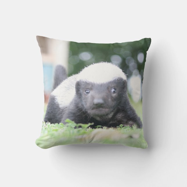 Baby honey badger cushion (Front)