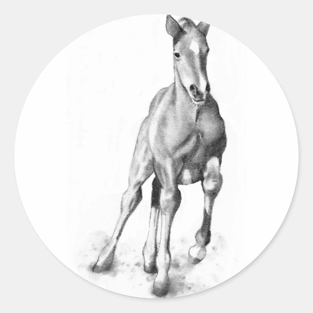 Baby Horse, Colt Running: Pencil Art Classic Round Sticker (Front)