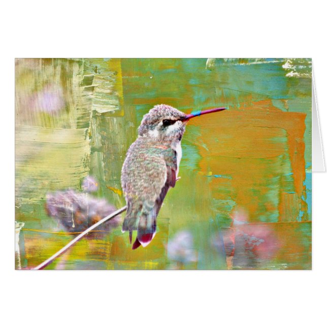 Baby Hummer in Pastel (Front Horizontal)
