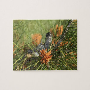Baby Hummingbird Being Fed by Mother Jigsaw Puzzle