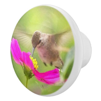 Baby Hummingbird Bird Wildlife Animal Floral Knob
