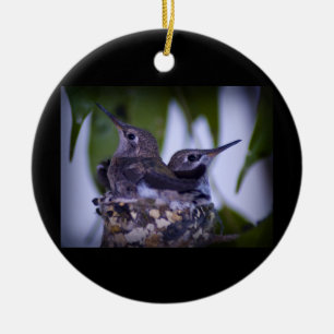 Baby Hummingbirds Ceramic Ornament