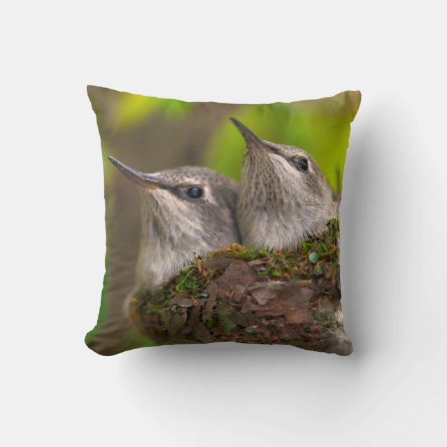 Baby hummingbirds cushion (Front)