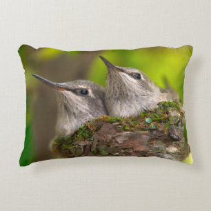Baby hummingbirds decorative cushion
