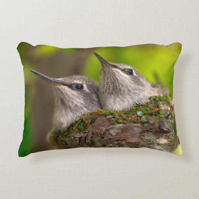 Baby hummingbirds decorative cushion (Front)