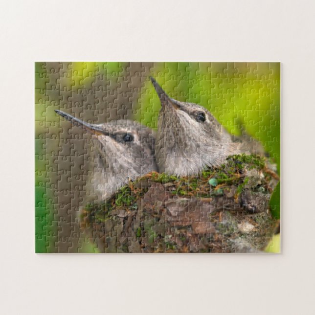 Baby hummingbirds jigsaw puzzle (Horizontal)