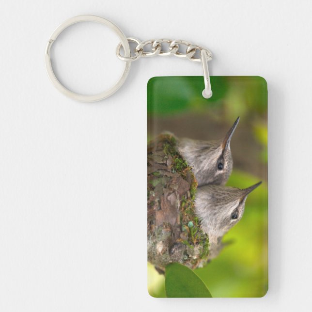 Baby hummingbirds key ring (Front)