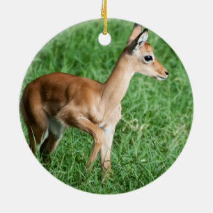 Baby Impala Ceramic Ornament