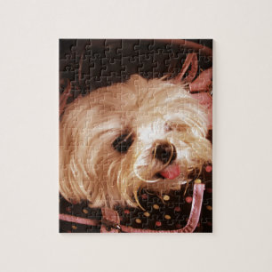 Baby in a Bag Maltese Puppy Jigsaw Puzzle