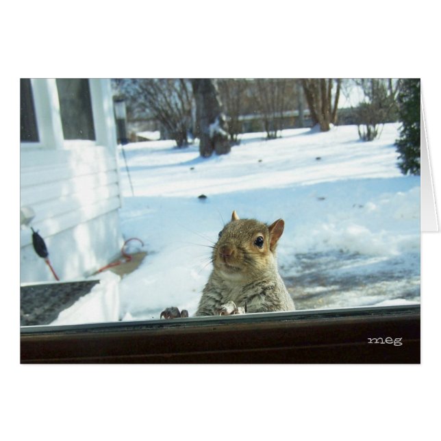 Baby It's Cold Outside (Front Horizontal)