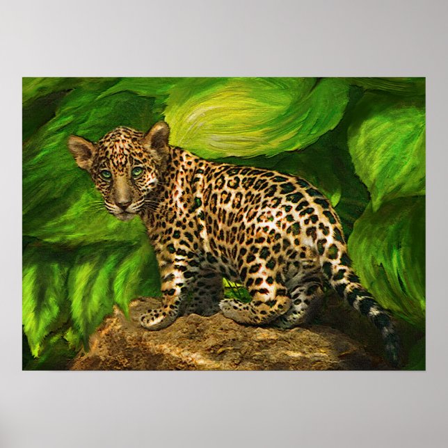 baby jaguar poster (Front)