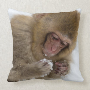 Baby Japanese Macaque   Snow Monkey Cushion