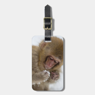 Baby Japanese Macaque Snow Monkey Luggage Tag