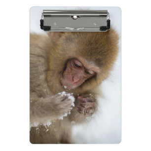 Baby Japanese Macaque Snow Monkey Mini Clipboard