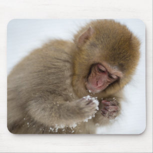 Baby Japanese Macaque Snow Monkey Mouse Pad