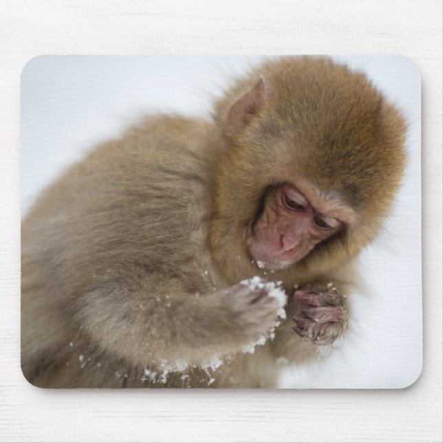 Baby Japanese Macaque | Snow Monkey Mouse Pad (Front)