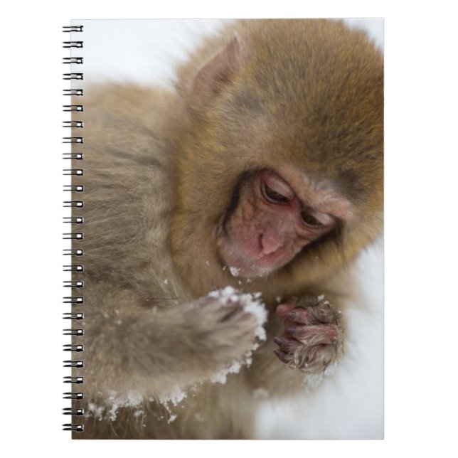 Baby Japanese Macaque | Snow Monkey Notebook (Front)
