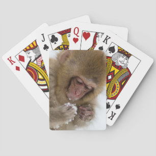 Baby Japanese Macaque Snow Monkey Playing Cards
