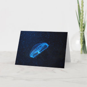 baby jelly fish card