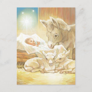 Baby Jesus Nativity with Lambs and Donkey Postcard