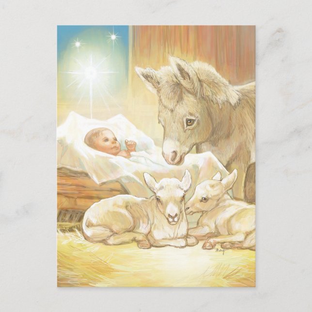 Baby Jesus Nativity with Lambs and Donkey Postcard (Front)