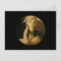 Baby Jesus Touches Lamb