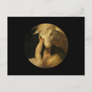 Baby Jesus Touches Lamb Postcard
