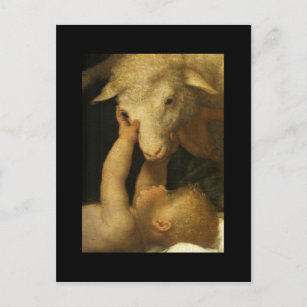 Baby Jesus Touches Lamb Postcard