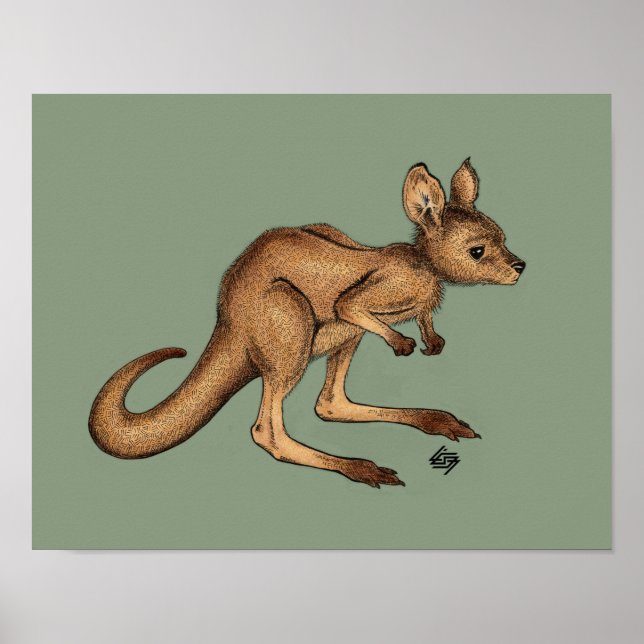 Baby Kangaroo/ Joey on green background Poster (Front)