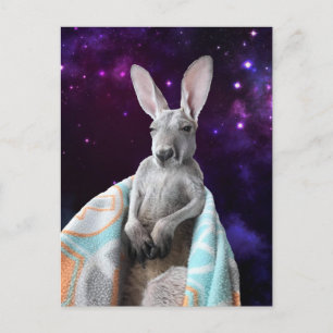 Baby Kangaroo Sleeping In Space Postcard