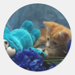 baby kitten Cole Classic Round Sticker