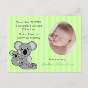 Baby Koala Bear Birth Announcements Postcard