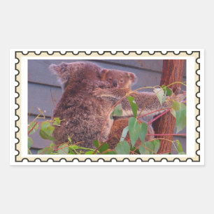 Baby koala Fake stamp  Rectangular Sticker